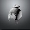 Human Head With White Hair Bun And Loose Strands On Dark Background