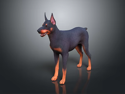 Realistic Doberman 3D Model With Black Tan Coat In Standing Pose 3d model