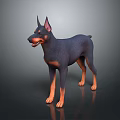 Realistic Doberman 3D Model With Black Tan Coat In Standing Pose 3d model