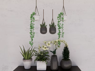 Bonsai Potted Plants With Hanging Vines Orchids Succulents On Dark Table And Light Wall 3d model