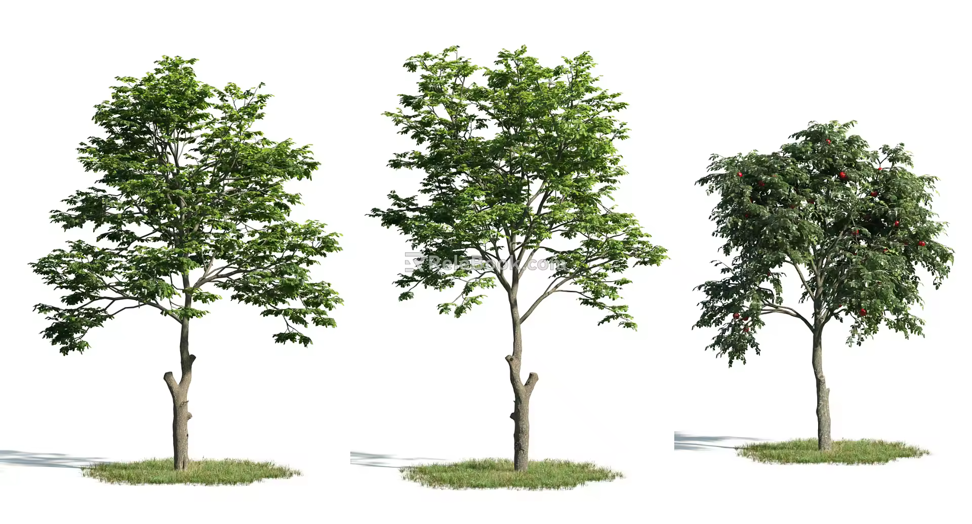 The Modern Tree 3d model
