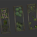 Three Wooden Planter Boxes Growing Various Vegetables Green Plants And Watermelon