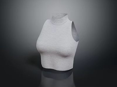 Stylish White Sleeveless High Neck Knit Top on Mannequin 3d model