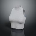 Stylish White Sleeveless High Neck Knit Top on Mannequin