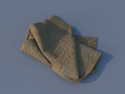 Natural Linen Clothing with Textured Fabric and Soft Fold Design 3d model