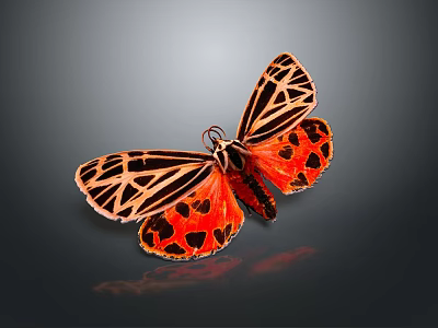 Orange And Black Butterfly With Spotted Striped Wings On Dark Background 3d model