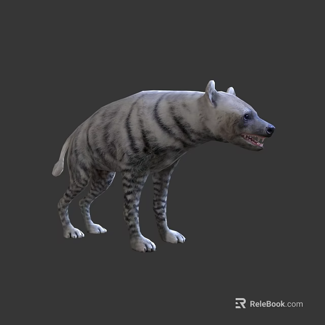 Striped Hyena Standing With Open Mouth On Gray Background 3d model 