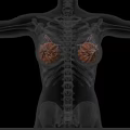 Medical Device for Breast Examination Visualizing Highlighted Area on Human Body Model
