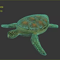 Vibrant Sea Turtle With Colorful Shell And Orange Green Patterns On Gray Background