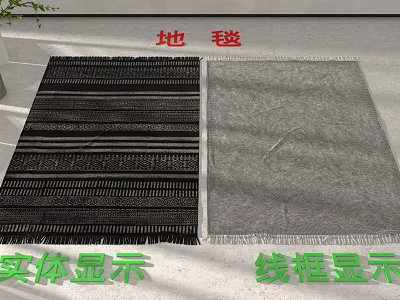 Floor With Two Different Carpets In Solid And Wireframe Displays 3d model
