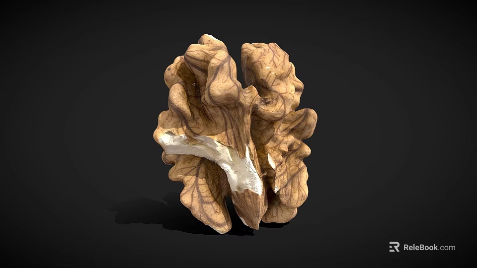 Halved Walnut Kernel Natural Healthy Food with Smooth Texture on Dark Background 3d model 