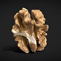 Halved Walnut Kernel Natural Healthy Food with Smooth Texture on Dark Background