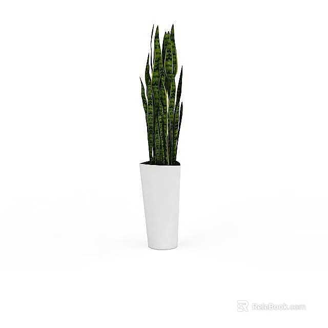 Snake Plant in White Pot with Long Green Striped Leaves for Home Decor 3d model 
