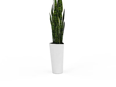Snake Plant in White Pot with Long Green Striped Leaves for Home Decor 3d model