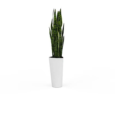 Snake Plant in White Pot with Long Green Striped Leaves for Home Decor 3d model