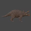 Realistic Triceratops Dinosaur Model With Textured Skin And Horned Head
