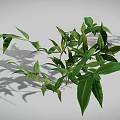 Various Green Plants Including Grass Shrubs and Leafy Sprouts Arranged on Gray Background