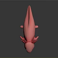 Unique Pink Axolotl Aquatic Animal With Red Feathery Gills Smooth Body And Limbs