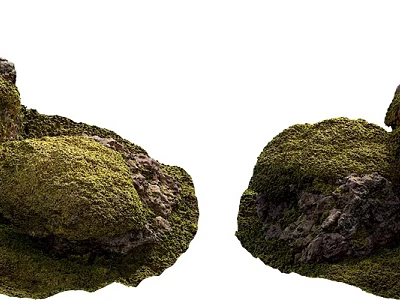 Natural Stone And Wood Elements With Mossy Surfaces And Textures 3d model