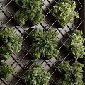 Green Living Wall With Grid Structure And Various Plants