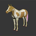 3D Model Horse With Brown And White Coat And Pink Nose Standing On Black Background