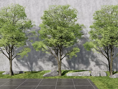 Lush Green Arbor Trees Against Gray Wall With Stone Tiles Ground Grass And Stones 3d model