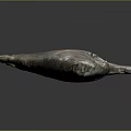 Realistic Shark Aquatic Animal With Red Brown Gray Coloration And Textured Skin Surface