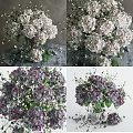 Fresh White and Purple Hydrangea Flowers in Vase with Green Leaves on Table