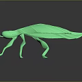 Green Leaf Shaped Insect Model With Glossy Texture On Black Background