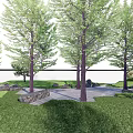 Lush Courtyard Garden With Tall Green Trees Lush Grass Stone Accents And Paved Pathway