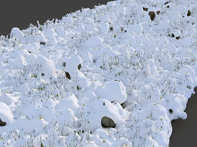 Snow Covered Flowers And Plants With Stones In Winter Landscape 3d model