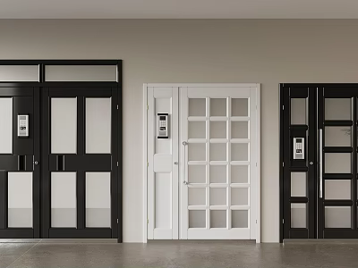Double Doors For Interior With Glass Panels And Different Color Finishes Design 3d model