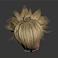 Man With Blonde Long Hair And Beard 3D Model Head With Realistic Facial Details