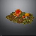 3D Rendered Mushroom Scene With Red Spotted Orange Small Red Mushrooms On Green Brown Ground
