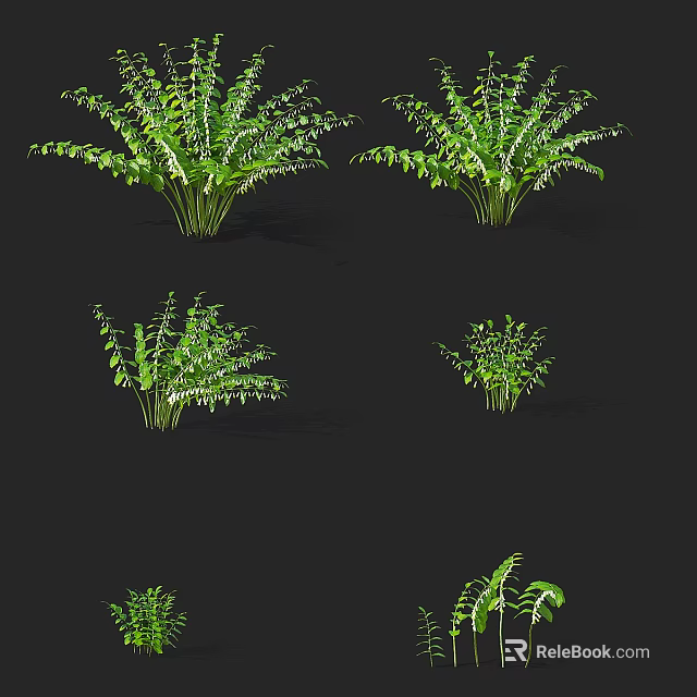 Green Fern Plants With Different Sizes And Shapes Against Black Background 3d model 