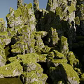 Natural Rockery Stones Covered With Lush Green Moss In Garden Landscape