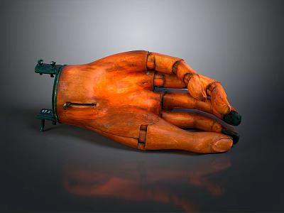 Hand Medical Teaching Aware Medical Supplies Medical Teaching Aware Medical Display 3d model