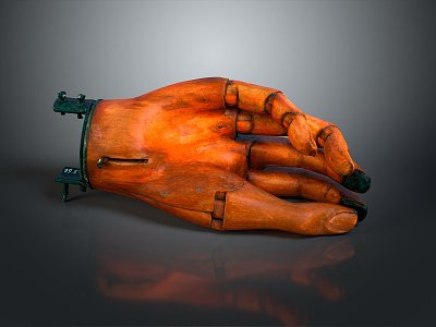 Hand Medical Teaching Aware Medical Supplies Medical Teaching Aware Medical Display 3d model