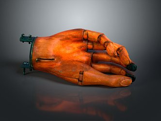 Hand Medical Teaching Aware Medical Supplies Medical Teaching Aware Medical Display 3d model