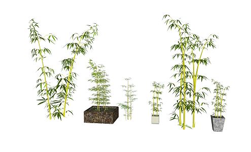 Modern Bamboo Landscape Bamboo 3d model