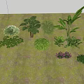 Different Types Of Green Plants And Purple Flowers Growing On Mossy Ground