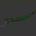 Vibrant Green Shrimp Shaped Decorative Model With Long Body Antennae Legs And Colorful Accents