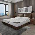 Background Double Bed with Bedside Tables Table Lamps Wall Painting Window Curtains Wooden Floor Rug
