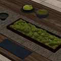 Clustered Green Moss in Rectangular Tray and Small Bowls on Wooden Table with Woven Mat