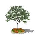 Decorative Tree Pit With Green Tree And Orange Plants In Garden