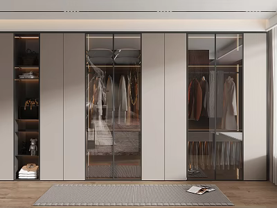 Modern Wardrobe Interior Design With Glass Doors Metal Frame And Storage Shelves 3d model