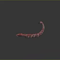 Pinkish Red Scorpion Model With Textured Body Pincers And Curled Tail On Reflective Surface