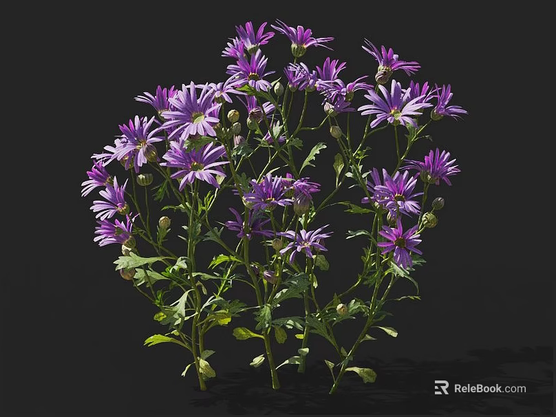 Vibrant Purple Flowers With Multiple Blooms Green Stems And Leaves On Black Background 3d model 