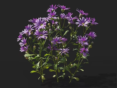 Vibrant Purple Flowers With Multiple Blooms Green Stems And Leaves On Black Background 3d model