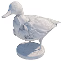 Two Duck Specimens Standing And Head Close Up With Clear Feather Details On White Background